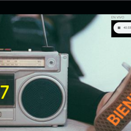 Website preview